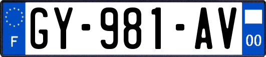GY-981-AV