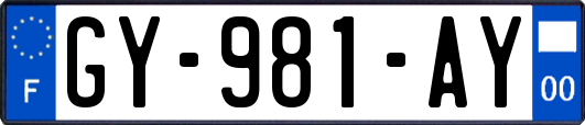 GY-981-AY