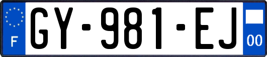 GY-981-EJ