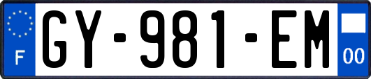 GY-981-EM