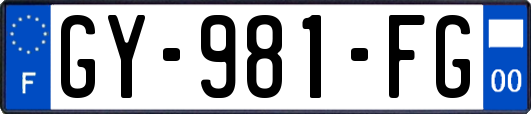 GY-981-FG