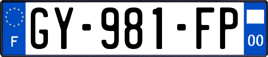 GY-981-FP