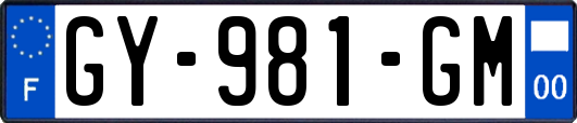 GY-981-GM