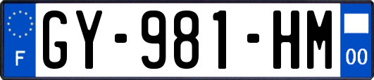 GY-981-HM