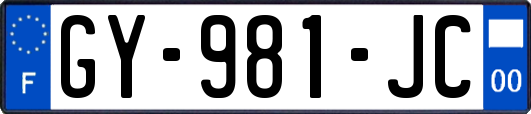 GY-981-JC
