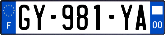 GY-981-YA