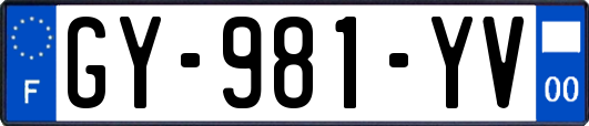 GY-981-YV