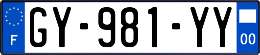 GY-981-YY