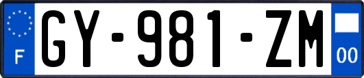 GY-981-ZM