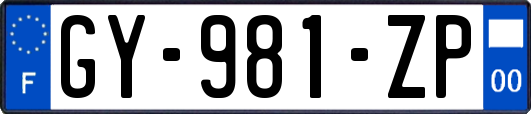 GY-981-ZP