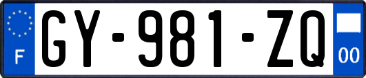 GY-981-ZQ