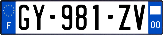 GY-981-ZV