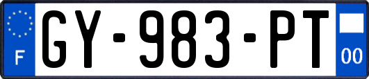 GY-983-PT