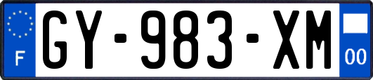 GY-983-XM