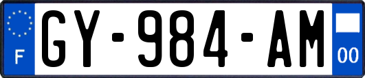 GY-984-AM