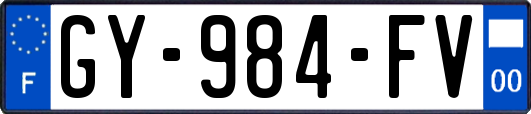 GY-984-FV