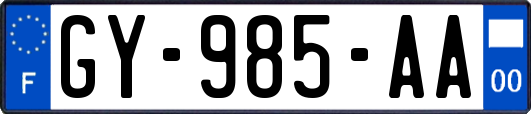 GY-985-AA