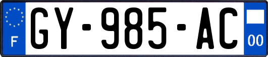 GY-985-AC