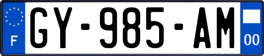 GY-985-AM