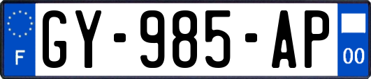 GY-985-AP