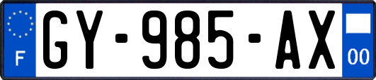 GY-985-AX