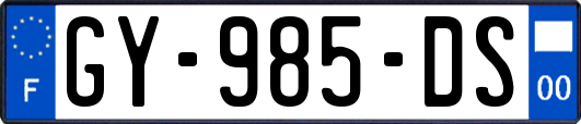 GY-985-DS