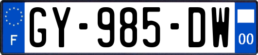 GY-985-DW