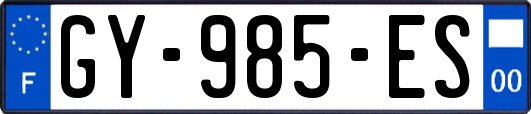 GY-985-ES