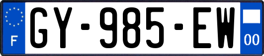 GY-985-EW