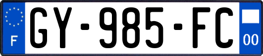 GY-985-FC