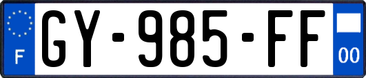 GY-985-FF