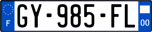 GY-985-FL