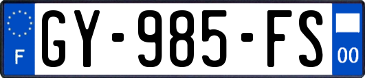 GY-985-FS