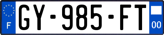 GY-985-FT