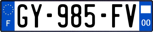 GY-985-FV
