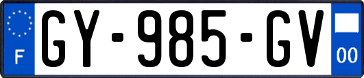 GY-985-GV