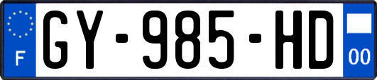 GY-985-HD