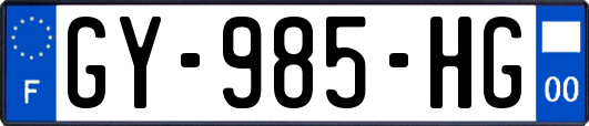 GY-985-HG