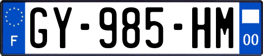 GY-985-HM