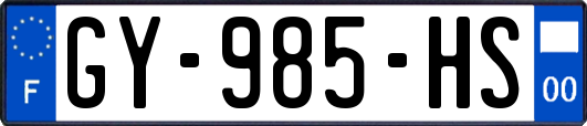 GY-985-HS