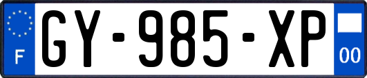 GY-985-XP