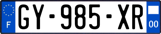 GY-985-XR