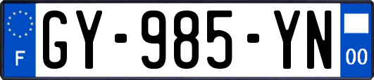 GY-985-YN