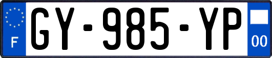 GY-985-YP