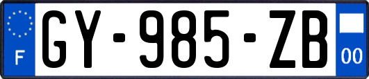 GY-985-ZB