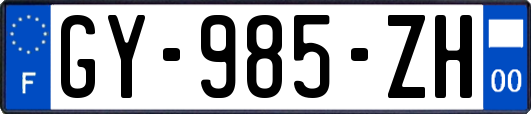GY-985-ZH