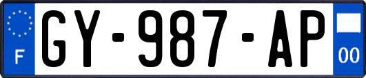 GY-987-AP