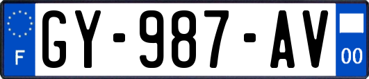 GY-987-AV
