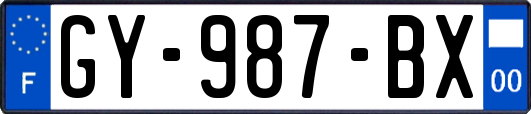 GY-987-BX