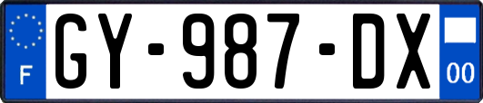 GY-987-DX